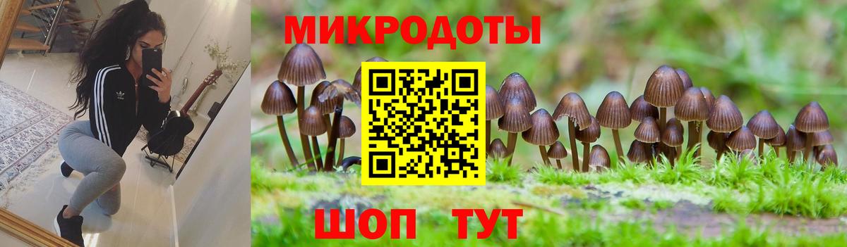 Псилоцибиновые грибы мухоморы  Вход с VPN  Нерюнгри  Галлюциногенные грибы Magic Shrooms 
